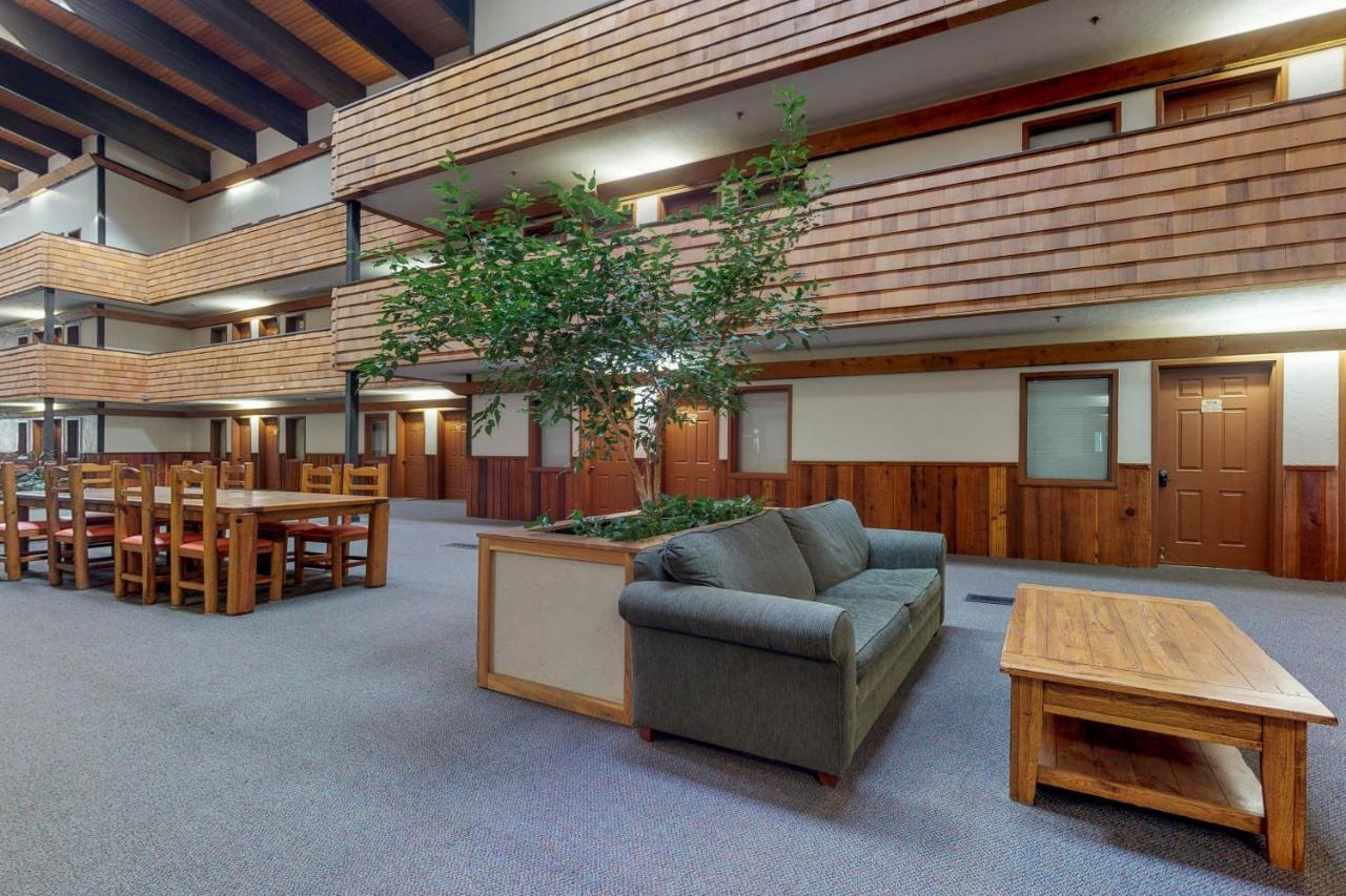 Appartamento Mountain Delight Crested Butte Esterno foto